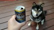HANA BEER