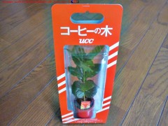 �����ҡ�����