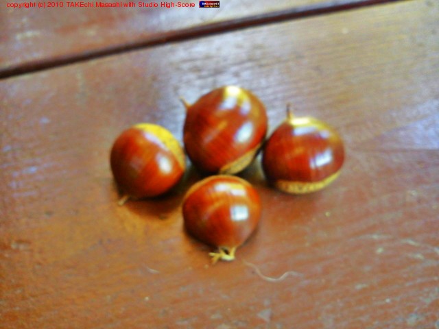 ����̼��΢��(?) �ǽ��äƤ��롣