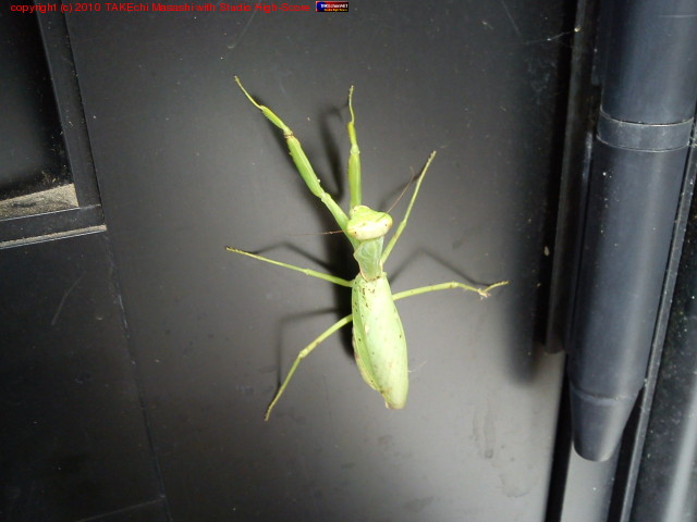 ���ޥ��ꡣ��ǯ�Ϥɤ�����򻺤�Τ���?