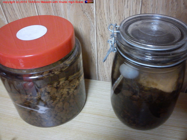 ��������褦�ʤäƤ������ں��᤬�������ȿʤࡣ�ܥȥ�ǻ����椦�٥��ȥ����ҥ��ܤ��ܤ��ò���������Ȥ����󤬤䤱��ɡ��ҡ������ϲ���ˤ��⤦����������ġ�