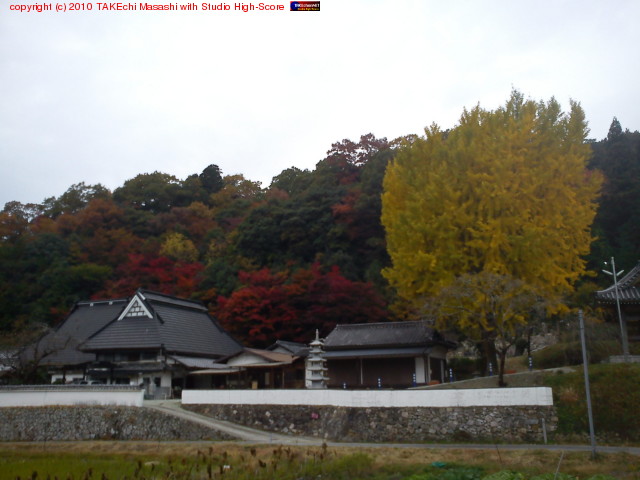 ���⥳�����Τ����������祦�����줤�˹��դ�������ŷ��Υ�������ζ�����ǰ��