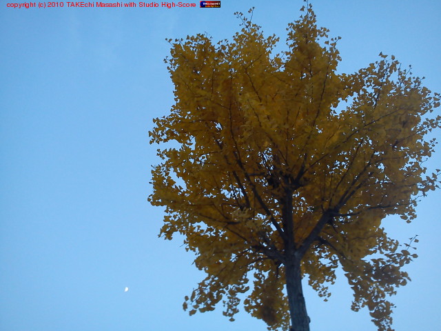 ����ޤ����ʥ����祦 �����夲��ȥϡ��եࡼ��