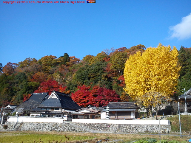 ���夬��β������Ķ��˹��դ��Ǥ��롣