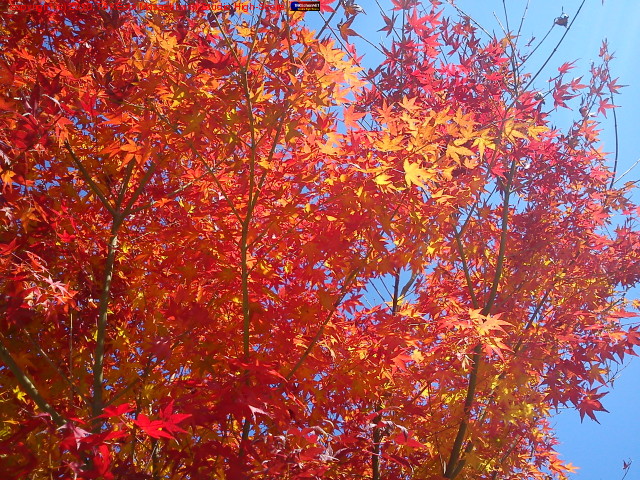 ����! ��!