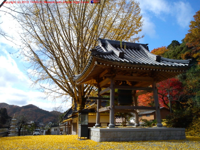 ���ɡ����դ���ζ����ǰ쵤�����ա����̲�����