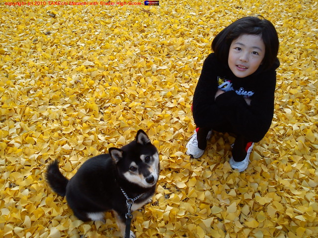 ̼�Ȱ��˸��λ��⡣���ɤβ��ǤҤȤ�����ͷ�֡�