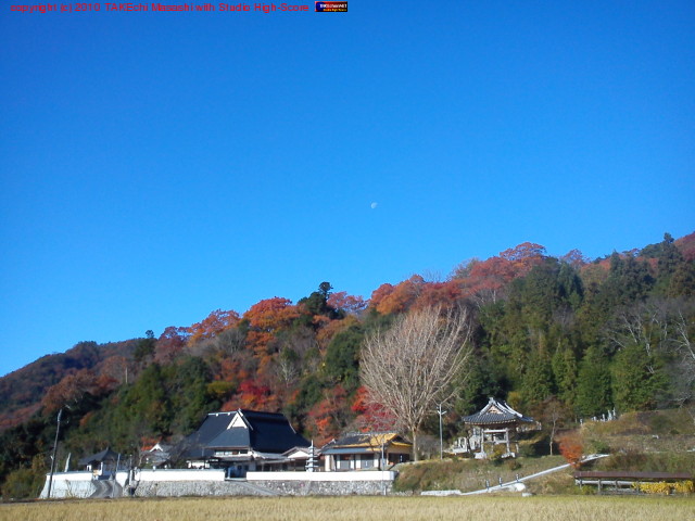 ���ä������դ������ɡ����ҤȤĤʤ��Ķ����⤫���򤤷