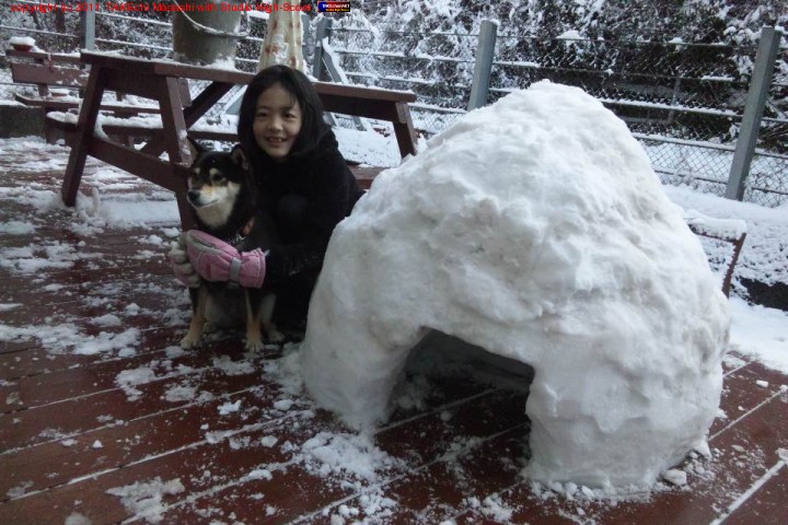 �ǥå�����򽸤�ơ����ޤ�����롣