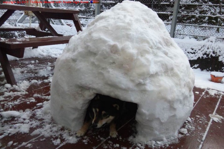 au �Υݥ�����? ̤��˹Ԥ������ˤ��긤������