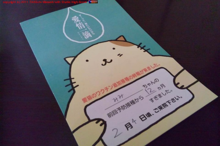 �ߤߤ�������ͤϷ������˥㡼