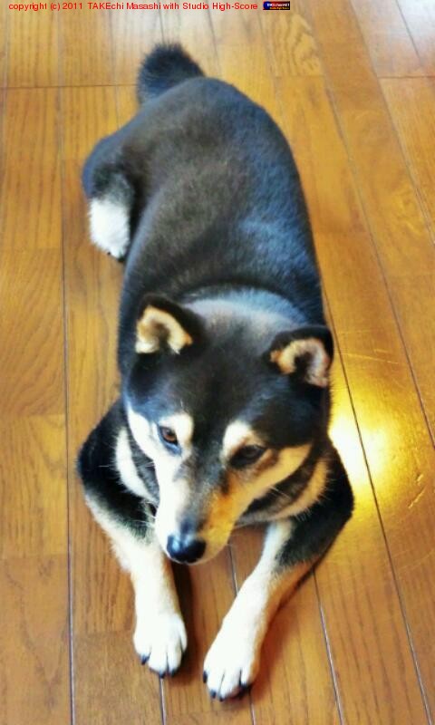 �Ϥʤ���󱫤ǤĤޤ�ʤ�