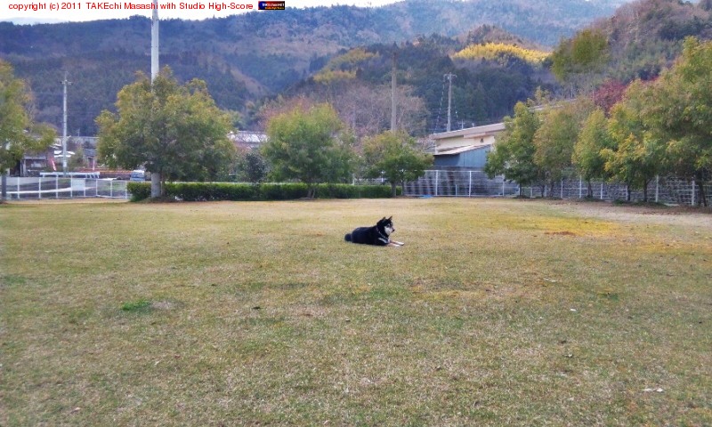 �ɥå����ˤ�