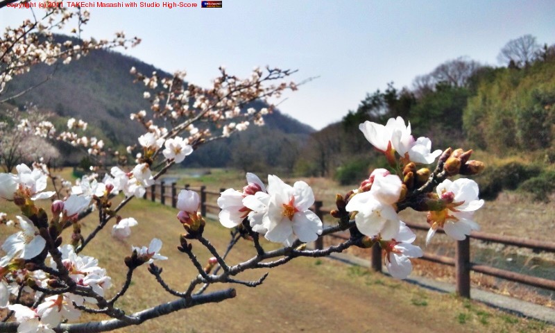 ���ָ�����