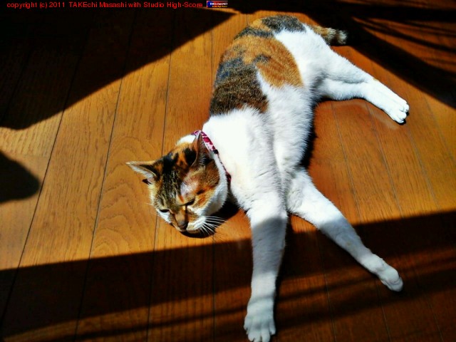 �����ܤä����ߤߤ����