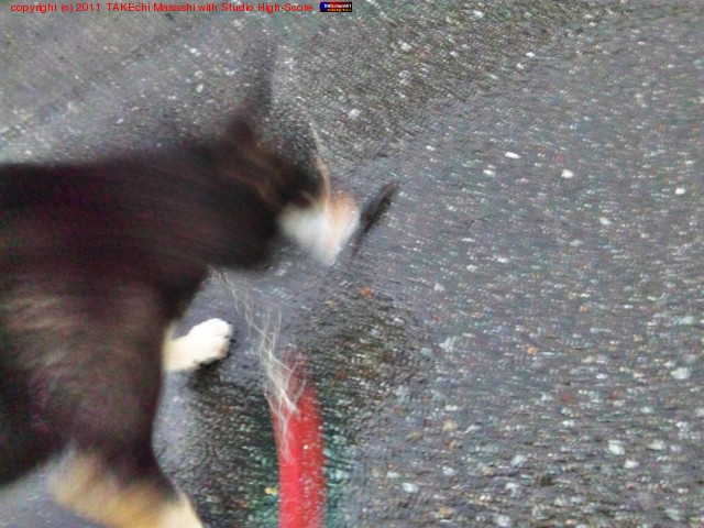 ��������������