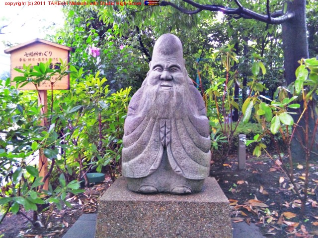 ʡϽ������