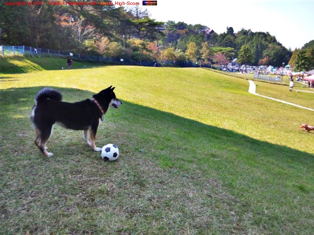 �Ϥʤ������ɥå����