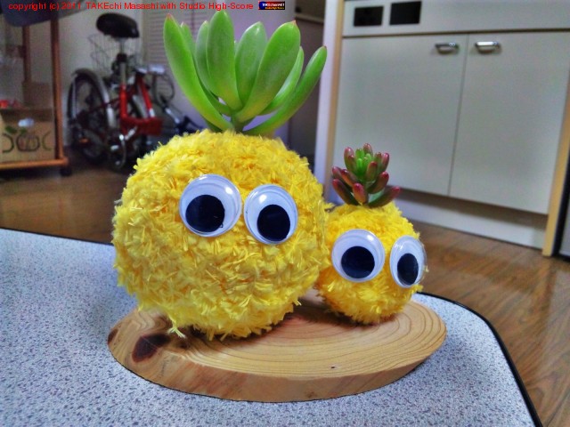 ������ϻ�å������ɤ���ä������̥ץ��ġ�̵��������ޤ�Ϣ������ޤ�����