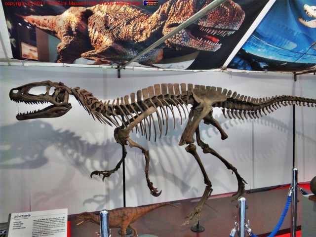 ���ں�˥ե�����ץȥ뤬��Ƥ�!