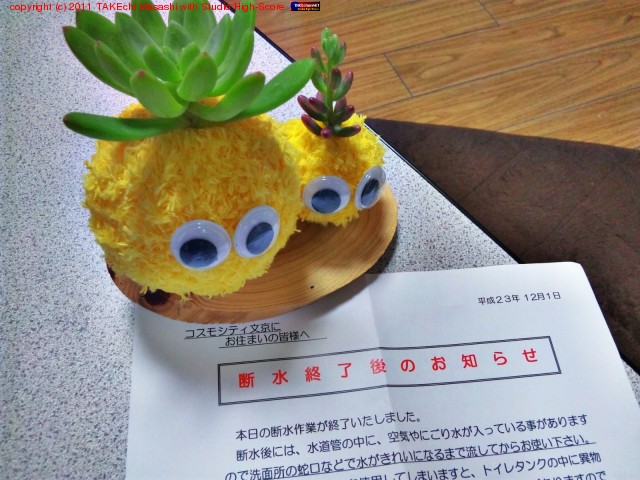 �ǿ夷�Ƥ��Τ����ޥ󥷥�����Το�ƻ�����򤹤�褦�ǡ�ϭ���˥ƥ�ݥ��ο�ƻ�ɤ����ֹ������Ƥ��롣