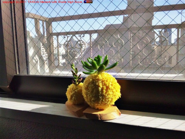 ŷ���������Τǥ����̤������ᤵ���Ƥߤ�