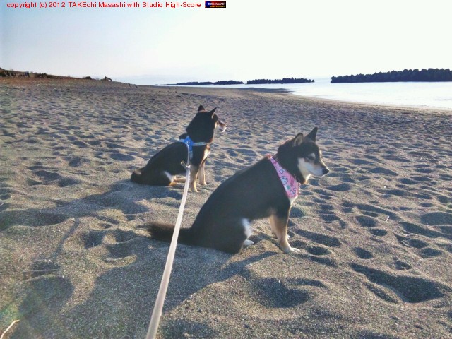 ���ޤǻ���