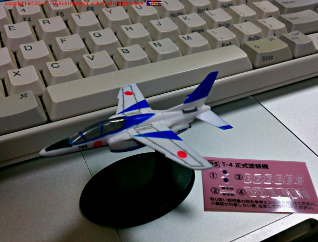 �֥롼����ѥ륹 T-4 ����������