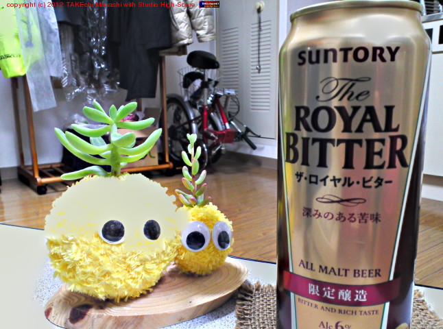 ����ӥ˸���ǥ���ȥ꡼�äƤΤ������˷����Ǥ�������������Ȥ���С����ߤޤ���!