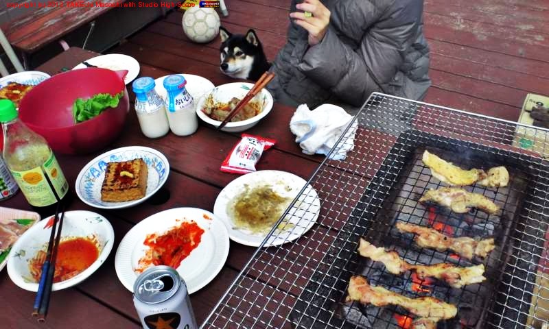 ����̵���������إС��٥��塼!