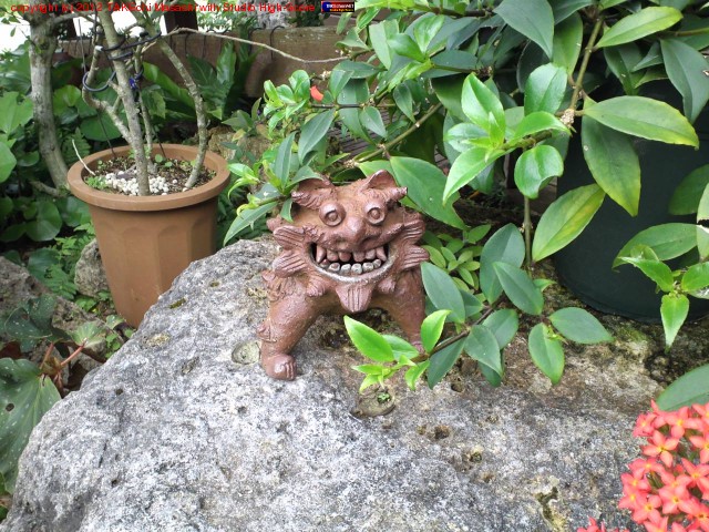 ��������