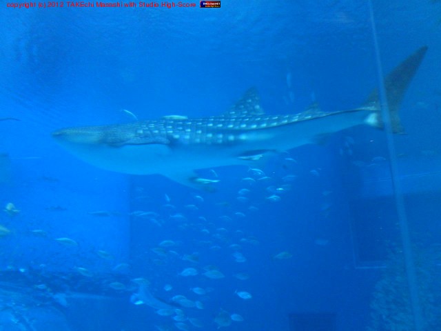 ����٤���!