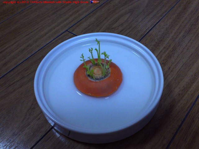 �콵�ַв�Υ˥󥸥����󡣲İ����꤬�ФƤ���!