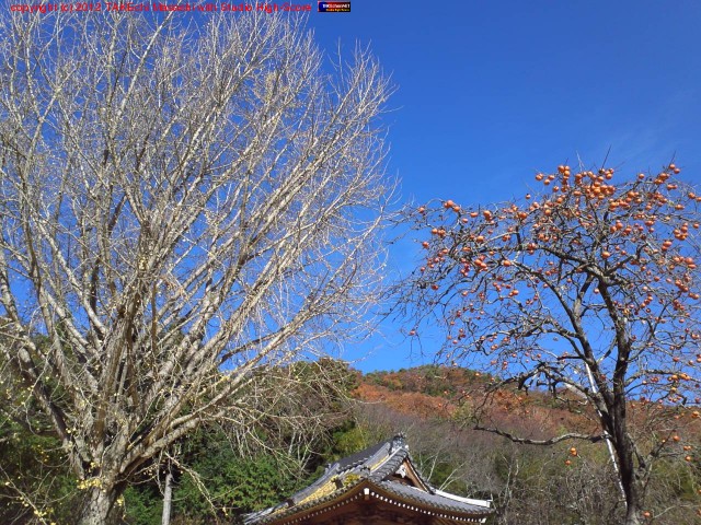 ���ȥ����祦�����ä������ա����ȤƤ��Ƥ����Τ����ˤơ�