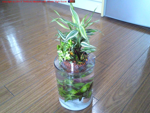 �������ο�������֡��ե����ϥ��ɥ�������㡼�ΥݥåȤˤʤäƤ��롣�ƥ��ȡ����Ф�󤻿�����