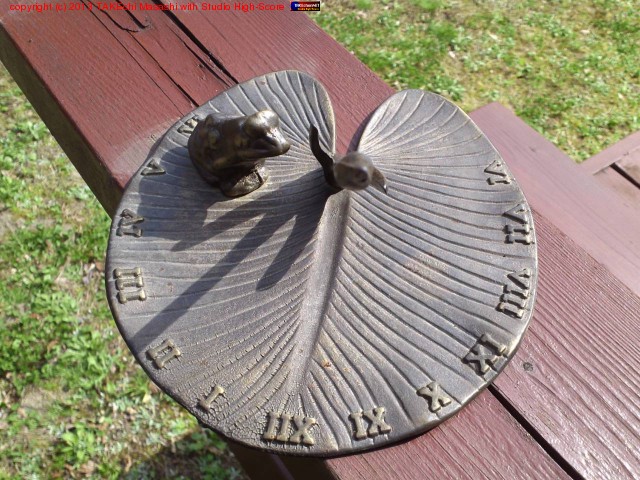 ��ʢ! ������������ס�