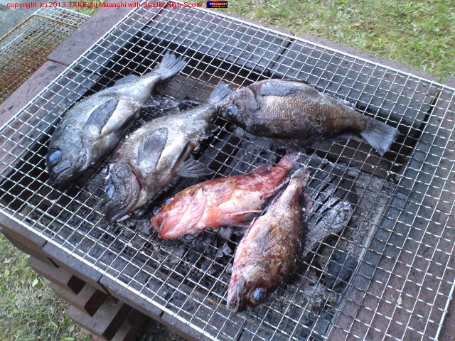 ������! ���ꤵ�󤫤�κ�������! ���������ޤ�!