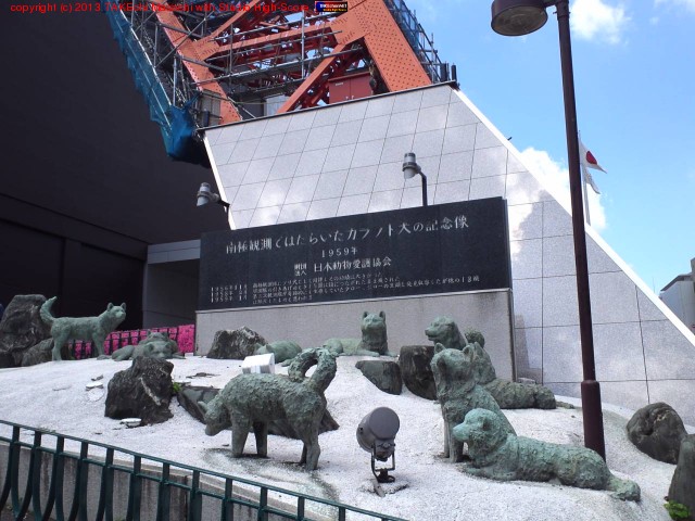 ��������­��������������ã��