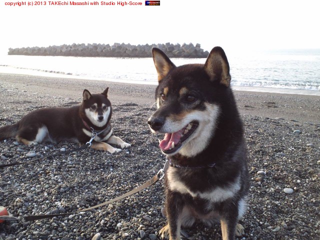 �ͤǤ��Ĥ����ƻҸ���