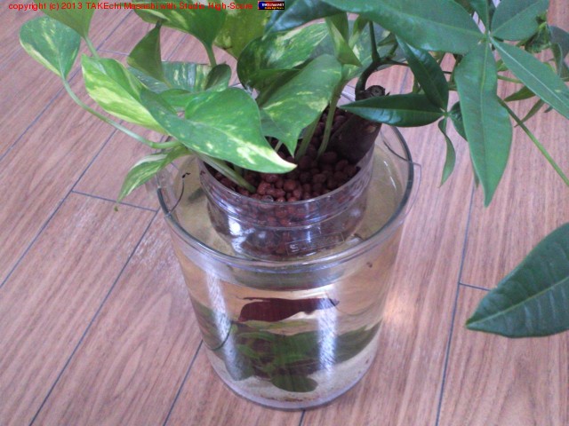 �����������ξ����ϥ��ɥ�������㡼�󤻿����ꥻ�å�!