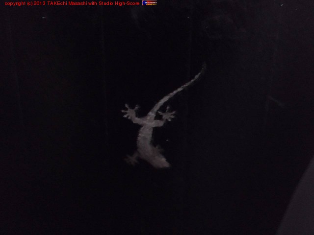 ���Ĥ�Υ���������!