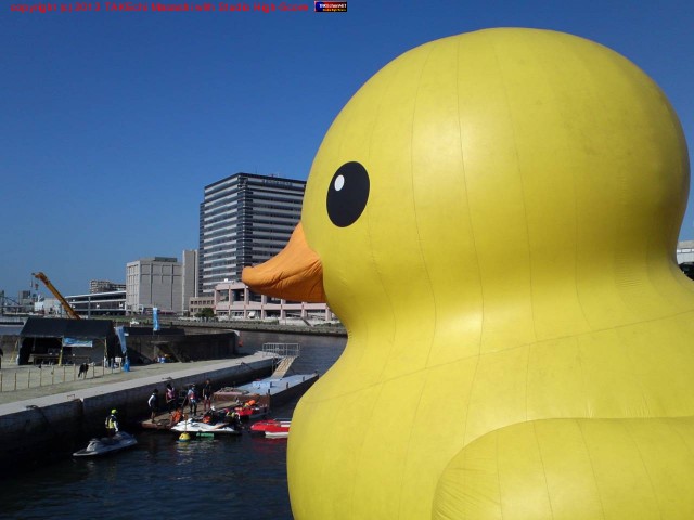 ���Ҥ�����!