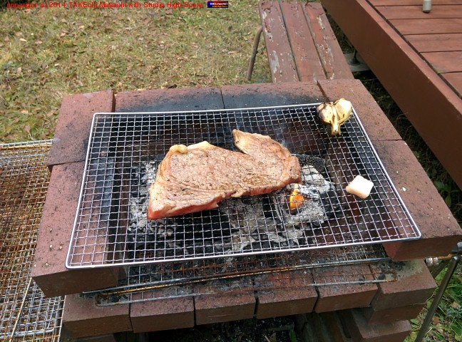 ���͵�����������!