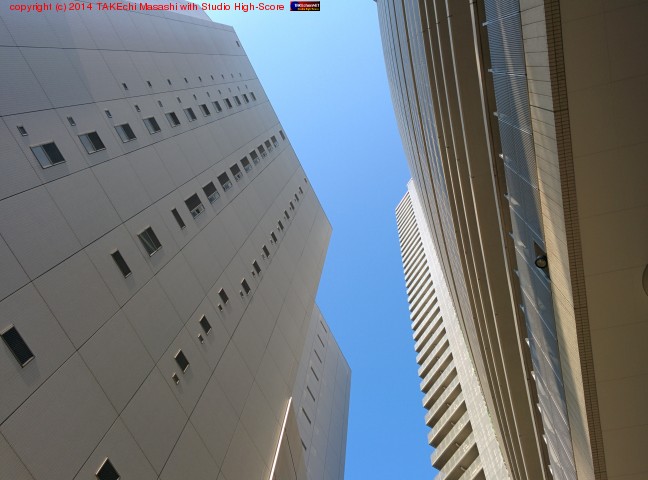 �����ζ�������