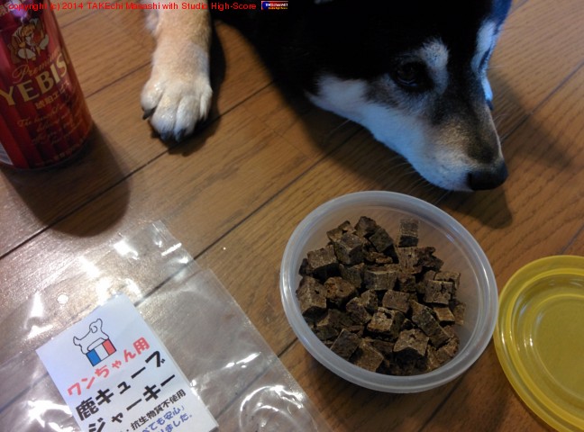 �ӡ�����ߤޤ���! with ����