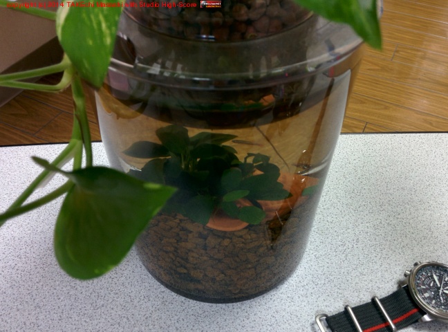 �����ҥ�ߣ�ɤ����äƤ���! �����˿��碌�⤻��������! ���������ˤ��Ǥ���Τ�į����¤ࡣ #�ܥȥ륢����