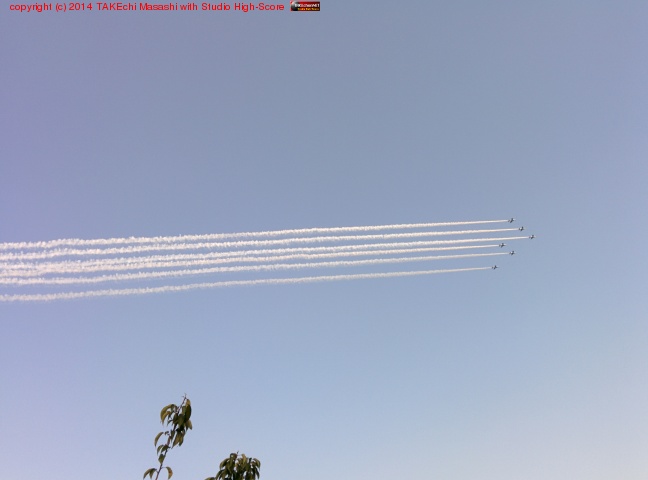 �֥롼����ѥ륹!