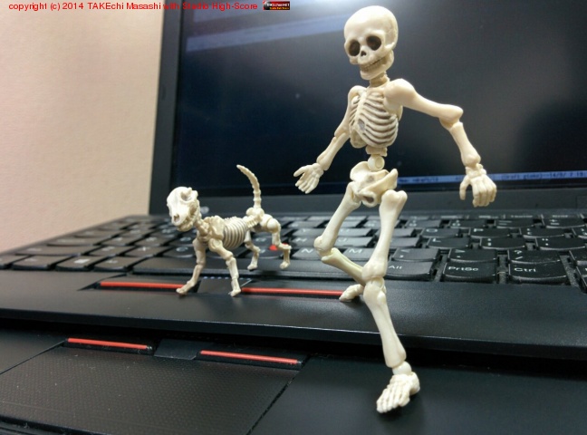 ���㥷�㡼�󤬤��ͤ�ï�����!? ���η��ݡ������񤷤���#poseskeleton