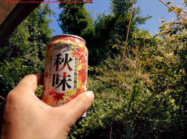 �Ф��������������ư��ߤޤ���!