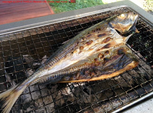 ����! �������������ɤ���̣�������ɡ���äѤ�ȵ��ɤ���?